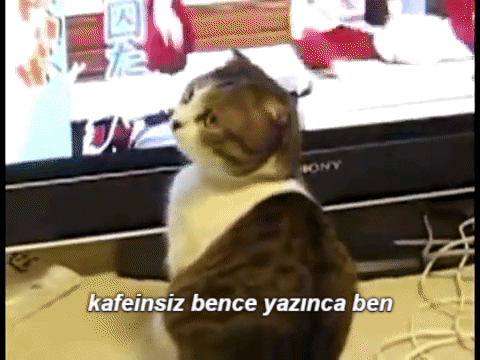 Youtube ve Vine videolarından programsız zahmetsiz gif elde etmek