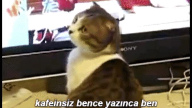 Youtube ve Vine Videolarından Programsız Zahmetsiz Gif Elde Etmek