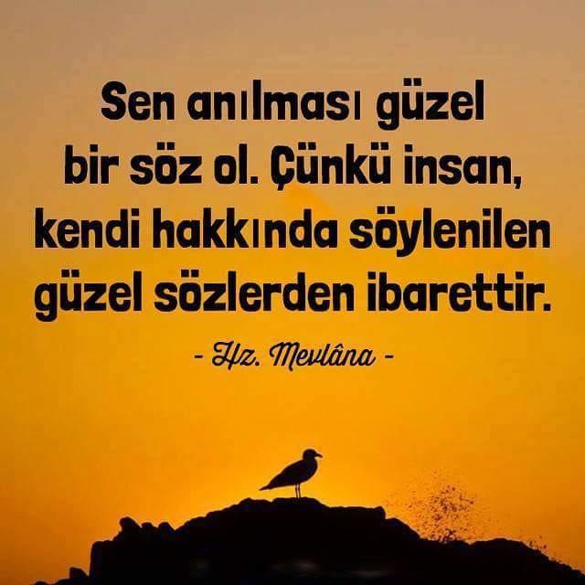 Hayatınızdaki İnsanlara Dikkat Edin !