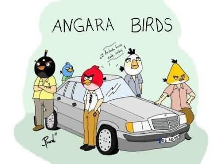 Bir Angara Analizi