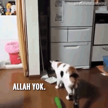 İki Manyakla Yaşamak!