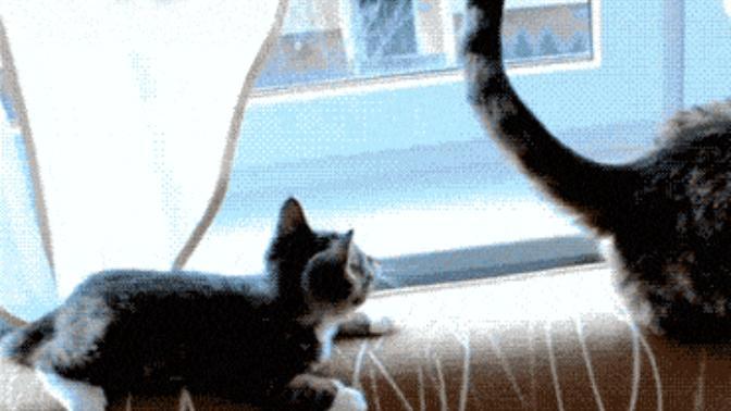 İki Manyakla Yaşamak!