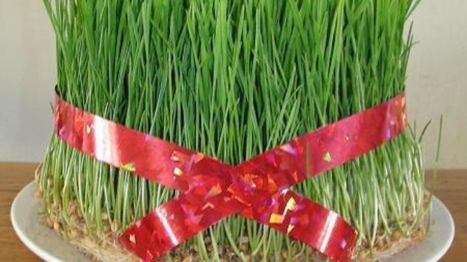 Azerbaycan'daki 5 Nevruz Adeti