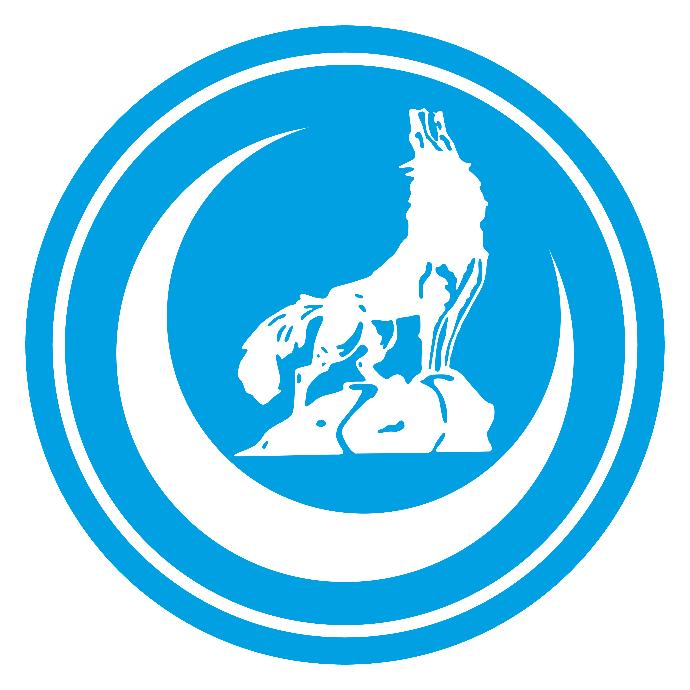 Ülkücülük ve Türkçülük Hakkında