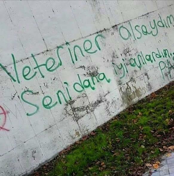 Duvar Yazıları Samimidir