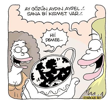 Mart Ayı Yaklaşırken KS'deki Kediler