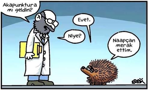 Başak Burcu Sevgilisi Olan Kızlar Buyursunlar