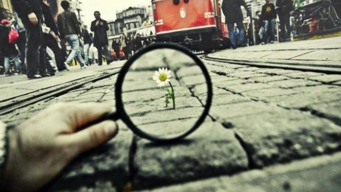 Bir Erkeğin Ağzından Kadının Haklı İsyanı 