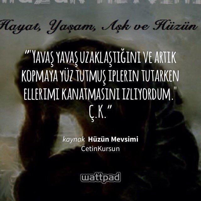 Terkedilmiş, Yalnız ve Aşık