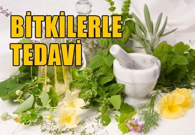 İnternette Aramamanız Gereken Şeyler