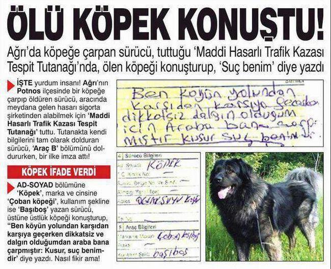 Beynimizi Dumura Uğratan Yurdum Haberleri