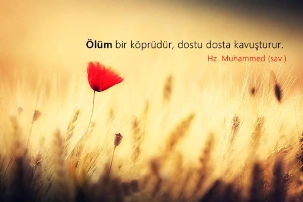 ÖLÜM SANA GELMEDEN SEN KENDİNE GEL !!!