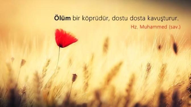 Ölüm Sana Gelmeden Sen Kendine Gel