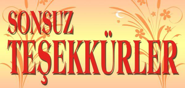 En Komik ve İlgi Çekici, Otomobil Arkası Yazıları