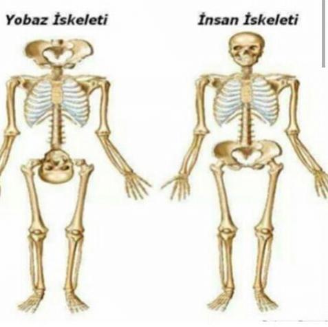 Kadın Olmak - Kadın Gibi Olmak