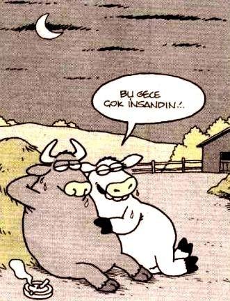 Sevgilisi Öküz Burcu Olanlar :)