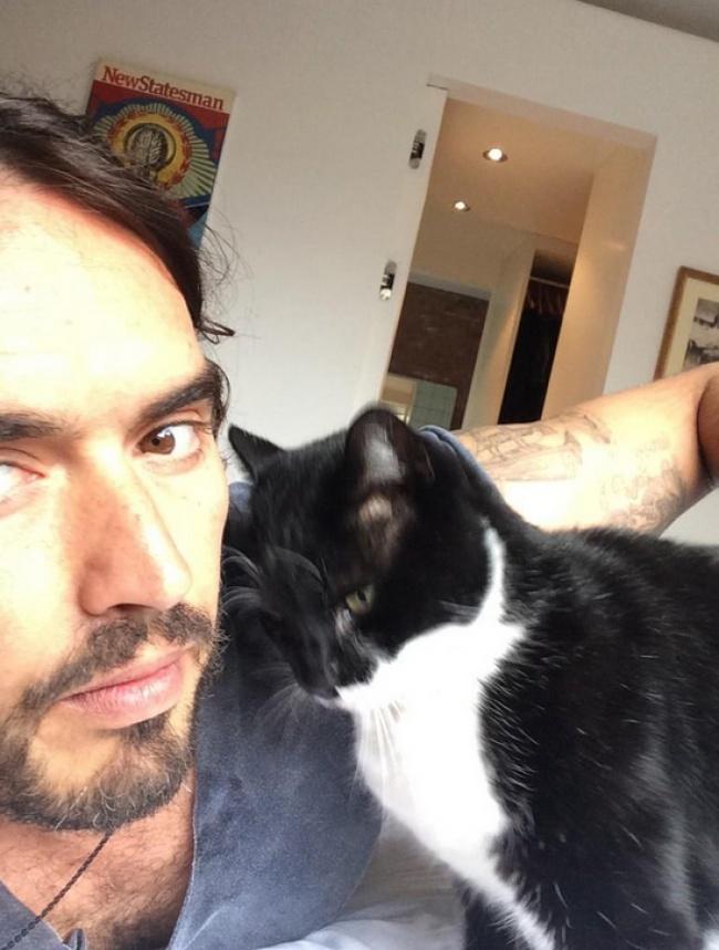 Yakışıklı İnsanı Olan 15 Kedi!