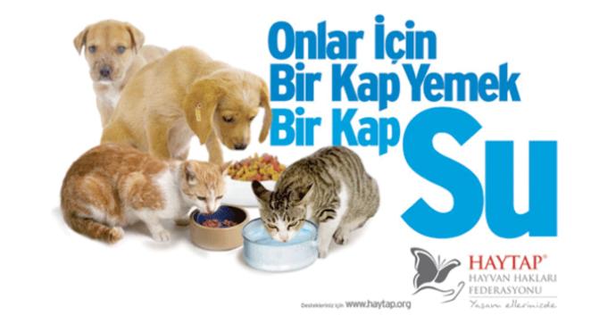 Bu Kadar Zor muydu Yardım Etmek?