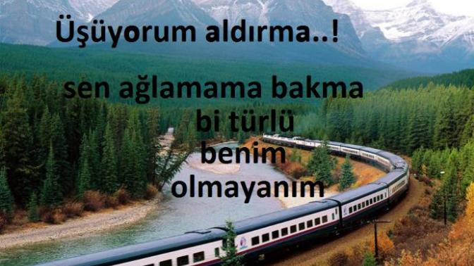 Bir Türlü Benim Olmayanım