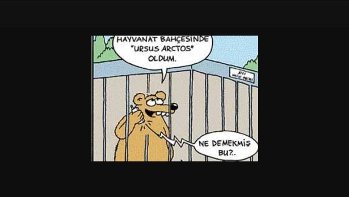 Entel Dantel Yapmacıklığı