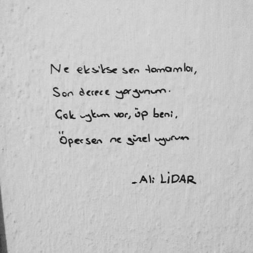 Sen Siyasetle Aşkı Karıştırmışsın