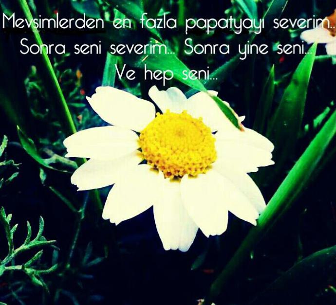 Kadın Annedir, Eştir, Evlattır. Kadın Hayattır