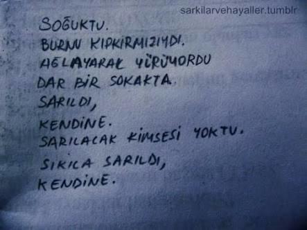 Eşcinsel Günlüğüm