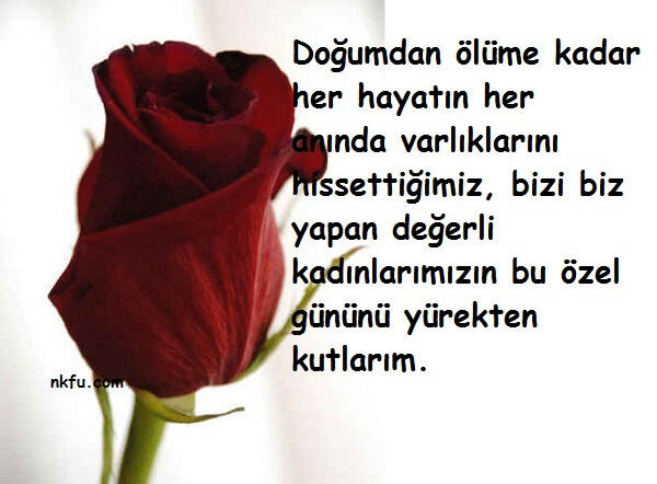 8 Mart Dünya Kadınlar Gününüz Kutlu Olsun Çiçekler...