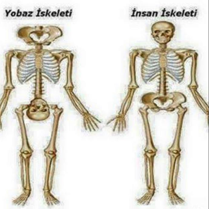 Şu "Nasılım" Sorularından Vazgeçin Artık!