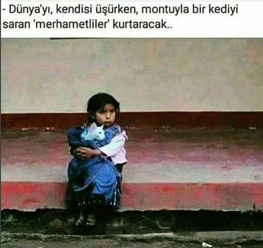 İnsanlar, Kadınlar, Doğrular...