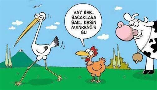 Kadın ve Erkek Arasındaki 15 Fark