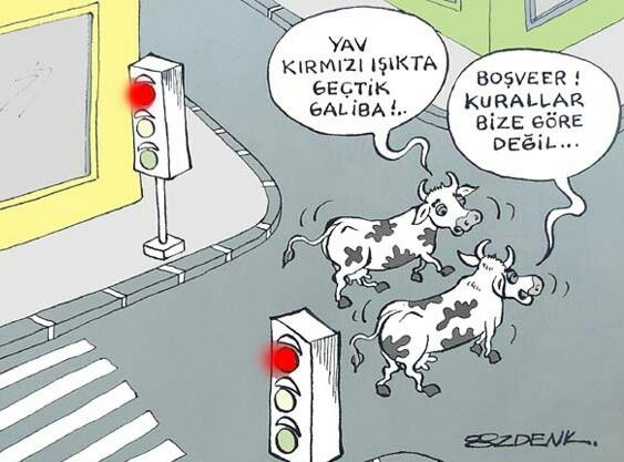Trafikte Sürücünün "Kadın" Olduğunu Anlamanın 9 Yolu