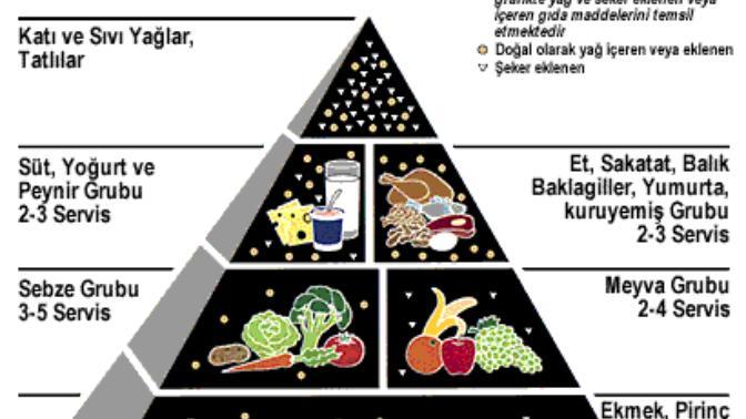 Sağlıklı Beslenme Denince Aklımıza Ne Gelir?