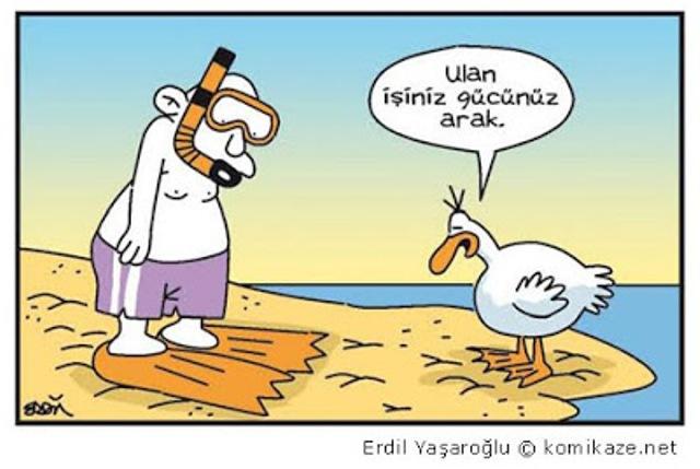 Bu sitede niye hep böyle insanlar var hic düşünündünüz mü Sitenin genel profilindeki insanları özetledim..