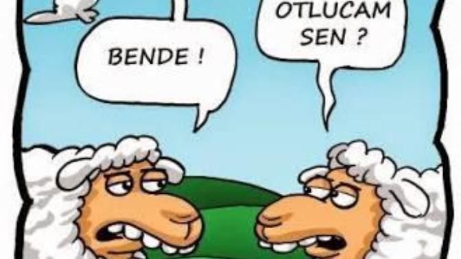Ne Kadar Asosyalsin? Hadi Test Edelim!