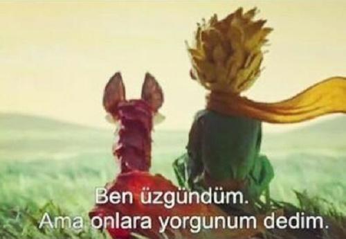 YGS -LYS Nedir, Ne Değildir?