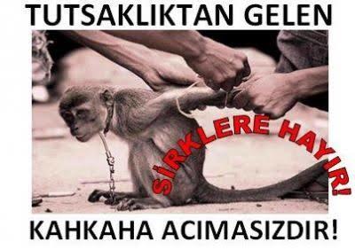 Hayvanlara merhamet!