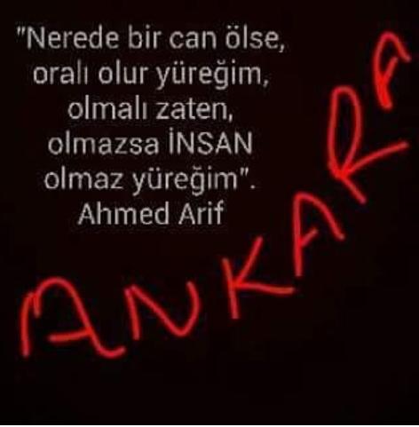 Ankara  Kapkara!
