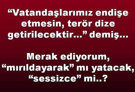 Ankara  Kapkara!
