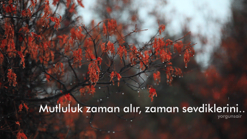 Öyle Bir Geçer Zaman ki