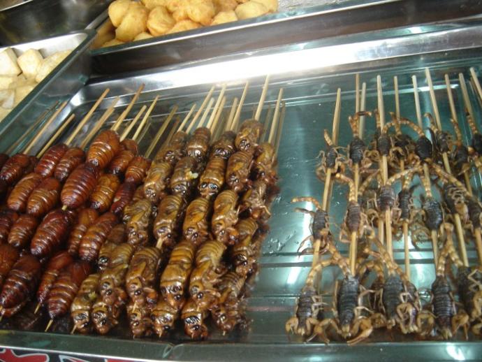 Uluslararası Aşk Yolculuğunda Yaşanabilecekler