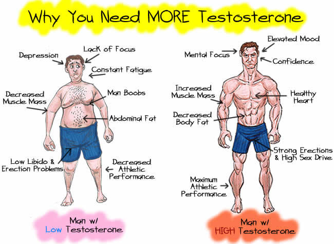 İşte Bunların Hepsi Testosteron