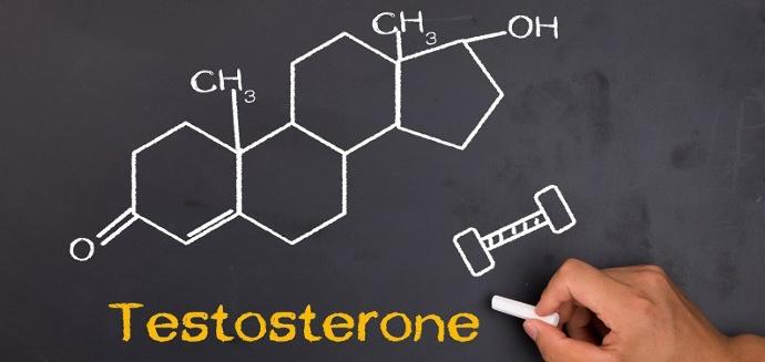 İşte Bunların Hepsi Testosteron