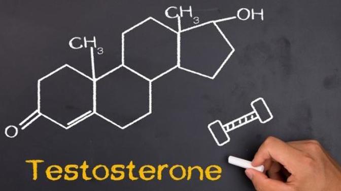 İşte Bunların Hepsi Testosteron