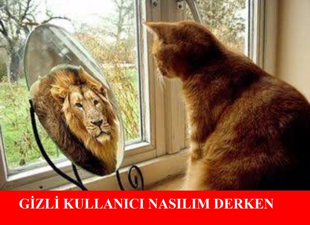 KizlarSoruyor Ailesinin Capslerle Anlatımı