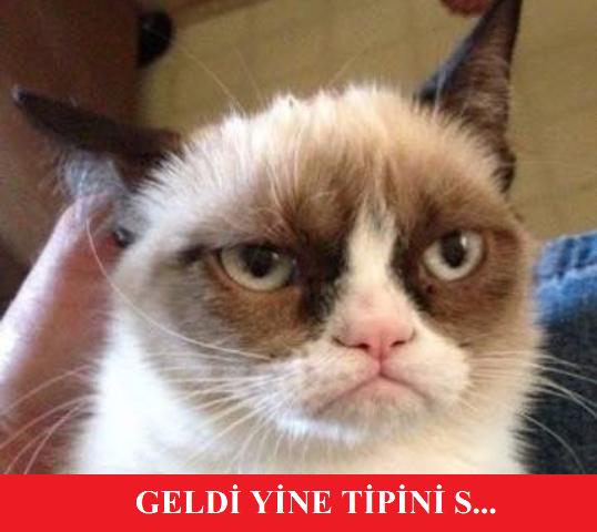 KizlarSoruyor Ailesinin Capslerle Anlatımı