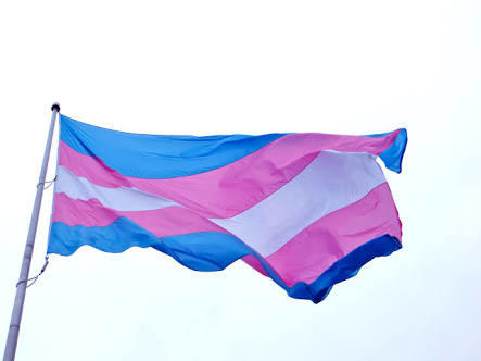Trans, Transa Baka Baka Aydınlanır!