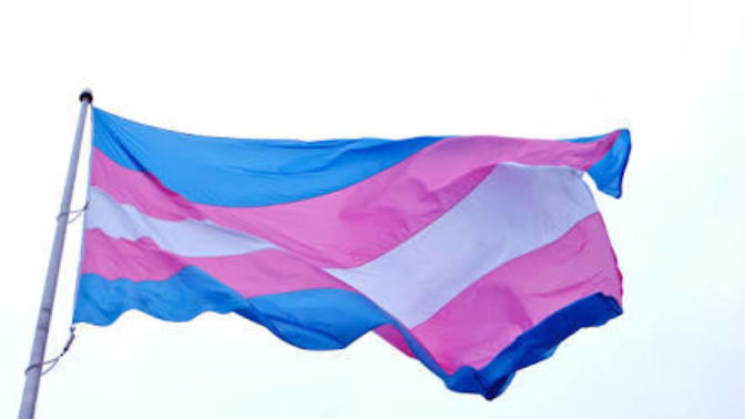 Trans, Transa Baka Baka Aydınlanır!