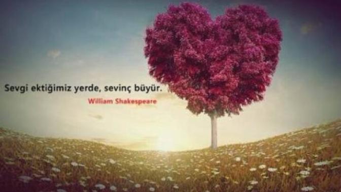 Bazı Gerçekler Boşlukta Bulunur