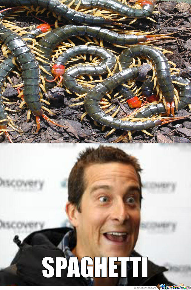 Bear Grylls Denen Çılgın Kimdir? Neyin Nesidir?